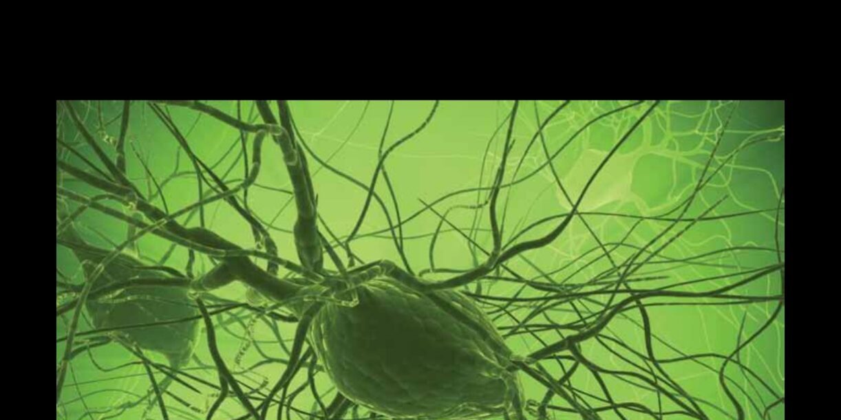 Vol.-3-N°-3-jul-set-2012_page-0001 portada-interciencia-volumen3-n3