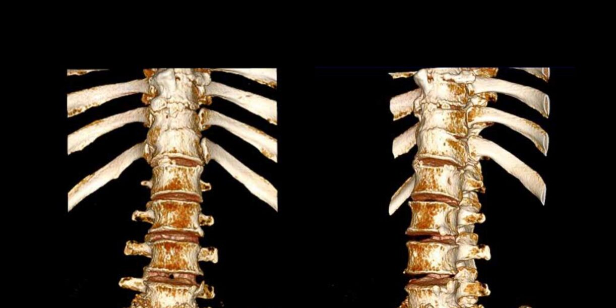 portada-interciencia-volumen3-n4