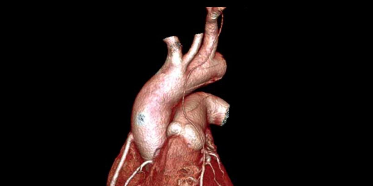 Vol.-4-N°-4-oct-dic-2013-1_page-0001 portada-interciencia-volumen4-n4