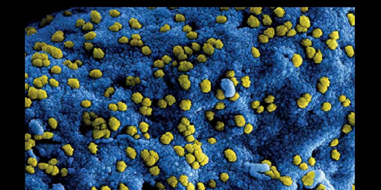 portada-interciencia-volumen6-n1