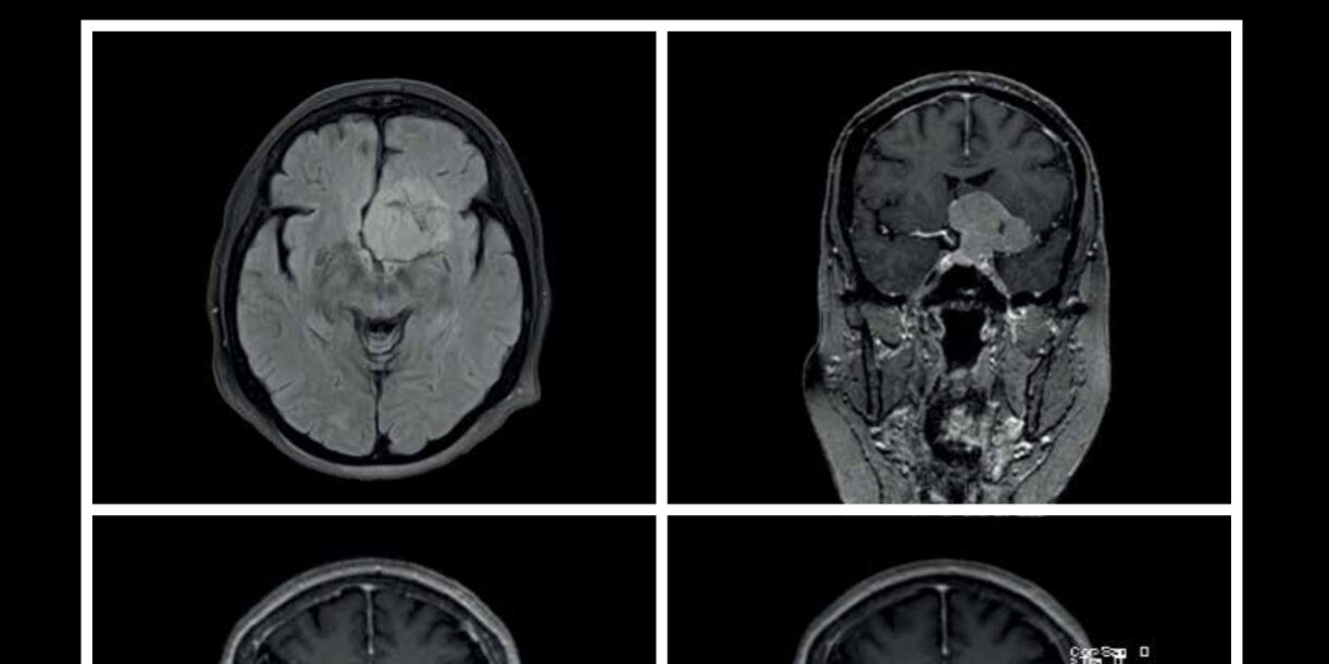 Revista Interciencia Vol. 7 N°1 Revista Interciencia