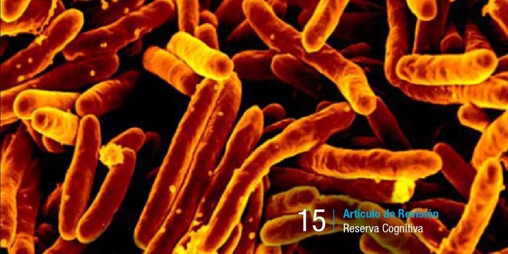 portada-interciencia-volumen3-numero2 portada-interciencia-volumen3