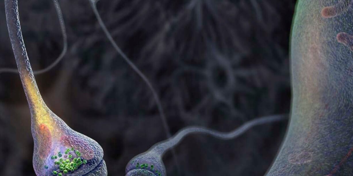 Vol-1-1 portada-interciencia-volumen1-n1