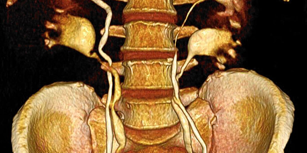 Vol.-2-N°-1-feb-2011-1_page-0001 portada-interciencia-volumen2-n1