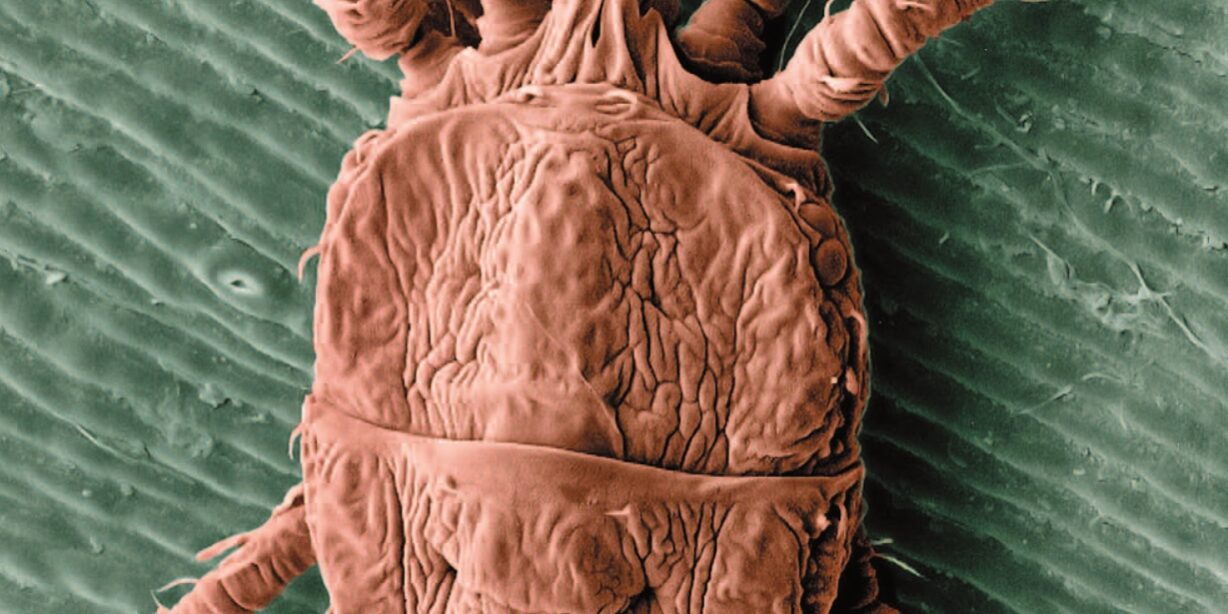 portada-interciencia-volumen2-n3