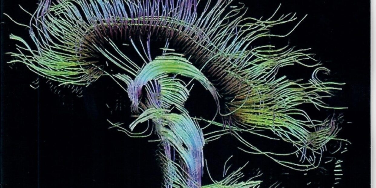 portada-interciencia-volumen3-n5