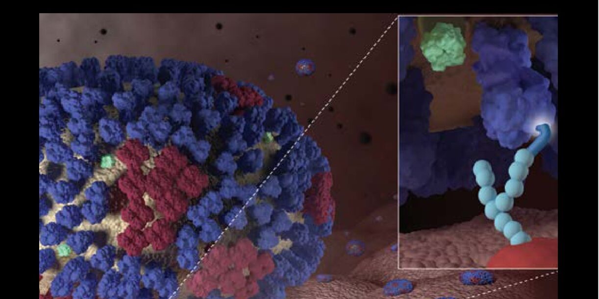 volumen4-numero3-revista-interciencia portada-interciencia-volumen4-n3