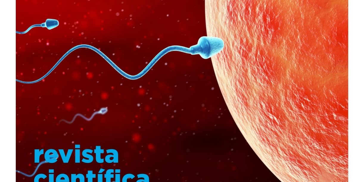 rev interciencia2 pxp_nov24_pages-to-jpg-0001