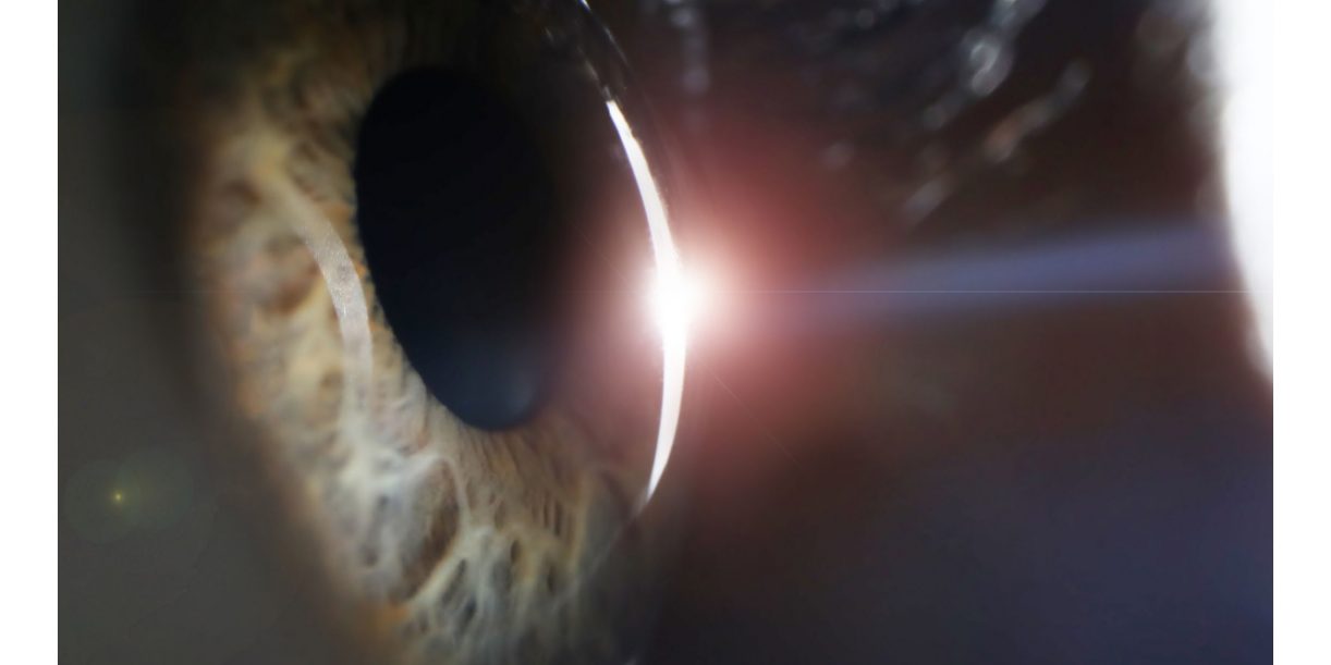 revista-interciencia-noviembre-2022-04 revista-interciencia-noviembre-2022-04